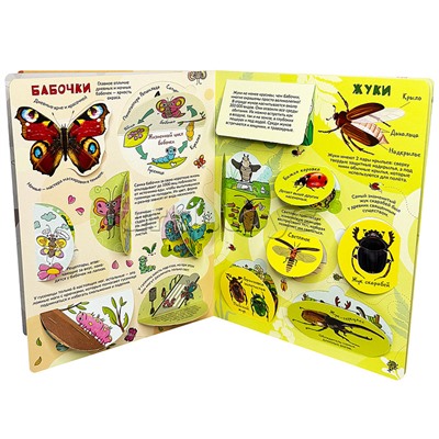 Энциклопедия с окошками (ЦК) Моя первая книга о насекомых
