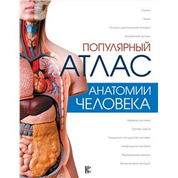 АСТ Палычева Любовь "Популярный атлас анатомии человека"