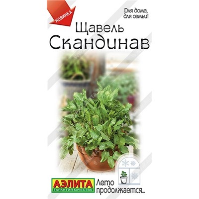 Щавель Скандинав (Код: 93136)