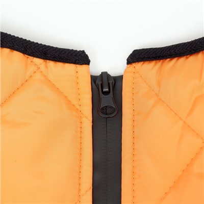 Куртка для больших собак, мембрана, XL (ДС 40, ОШ 41, ОГ 56 см),серо-оранжевая