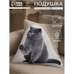 Подушка «Этель» British cat, 40×33 см, 100% п/э, велюр