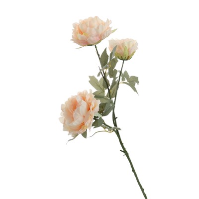 Цветы искусственные «Пион Лунная река», 12×85 см, розовые