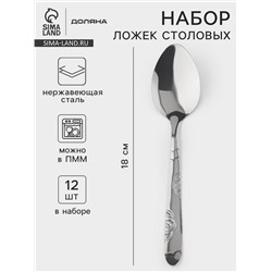 Набор столовых ложек Доляна «Венсель», длина 18 см, набор 12 шт., нержавеющая сталь, серебристый