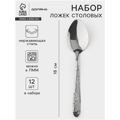 Набор столовых ложек Доляна «Венсель», длина 18 см, набор 12 шт., нержавеющая сталь, серебристый