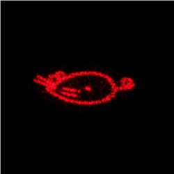 Лазерная указка, 5 видов луча, от батареек 3×LR44, красный луч, 6.8×1.3 см