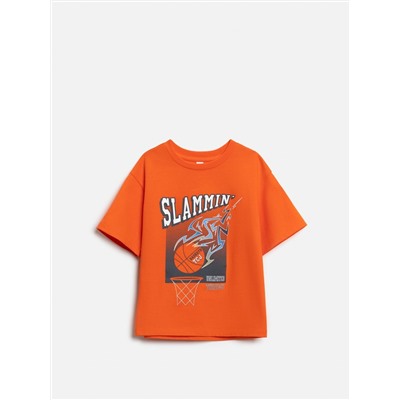 Acoola Футболка 20120510255