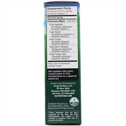 Fungi Perfecti, Organic Myco Shield Spray, Immune Support Peppermint, 1 fl oz (30 ml)