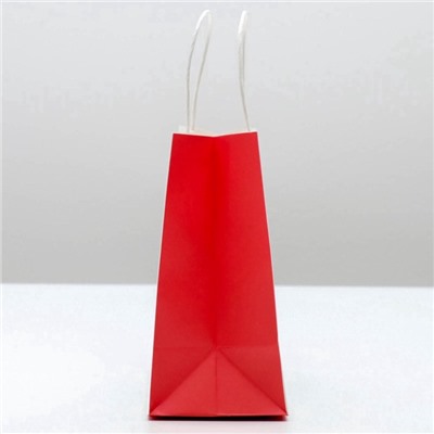 Пакет подарочный новогодний «Потом передаришь», 22×22×11 см