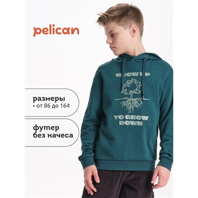 PELICAN Толстовка BFNK3370/1