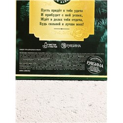 Подарочный набор «Замечательный мужик», гель для душа водка 250 мл и мыло для рук, Чистое счастье