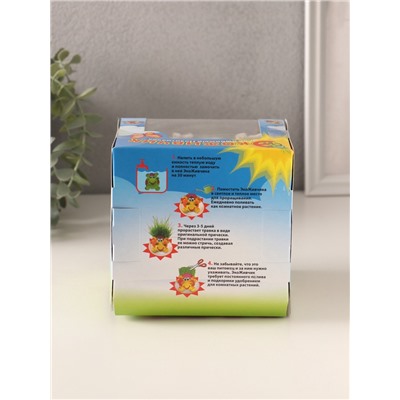 Набор для выращивания «ЭкоЖивчик. Домовой», фигурка растущая в подарочной упаковке