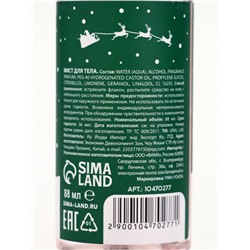 Подарочный набор новогодний «Снеговичок», гель для душа 100 мл и мист для тела, URAL LAB