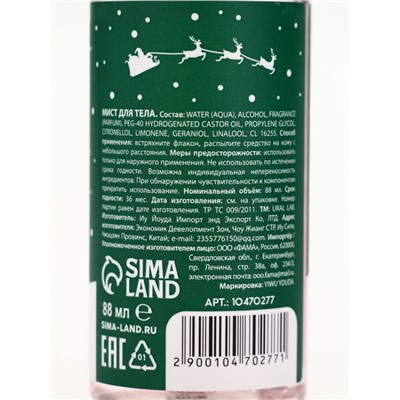 Подарочный набор новогодний «Снеговичок», гель для душа 100 мл и мист для тела, URAL LAB