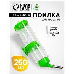 Поилка для грызунов «Пижон», 250 мл, зелёная
