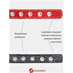 Ошейник, 35×1.5 см, подклад из ватина, кожа, красный