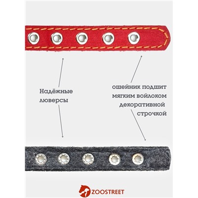 Ошейник, 35×1.5 см, подклад из ватина, кожа, красный