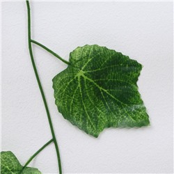 Лиана «Лист винограда», набор 12 шт., 2.3 м