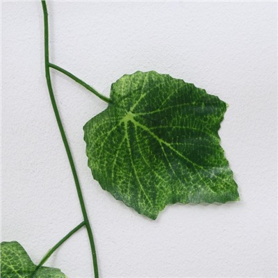 Лиана «Лист винограда», набор 12 шт., 2.3 м