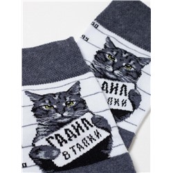 Классические Брестские Носки 4200 PETS