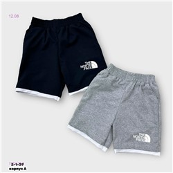 Шорты 1976422-2