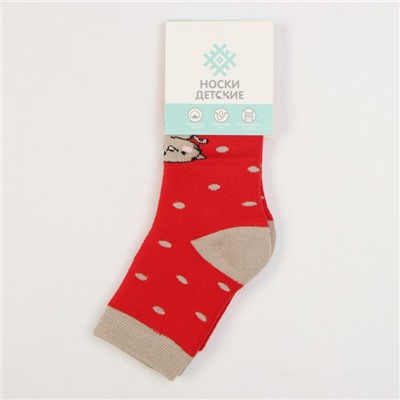 Носки детские махровые KAFTAN "Котята" р-р 14-16