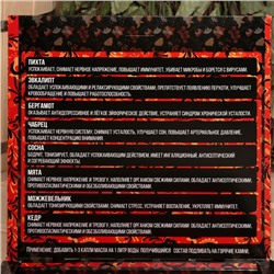 Новогодний набор эфирных масел «Огромной удачи в Новом Году», в подарочной коробке, 8 шт. по 10 мл