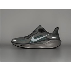 Кроссовки Nike Air Zoom Pegasus 41