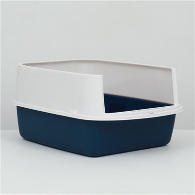 Туалет закрытый, 51×34×37 с, с совком, прозрачный, пластик, синий