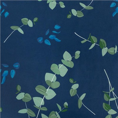 Постельное бельё 1.5-спальное «Этель. Эвкалипт (вид 2)», поплин