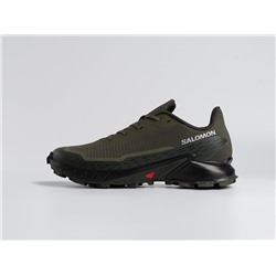 Кроссовки Salomon Alphacross 5 GTX