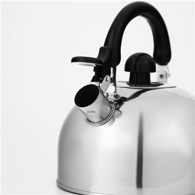 Чайник со свистком Доляна «Чёрная ночь», 3 л, нержавеющая сталь, фиксированная ручка, хромированный