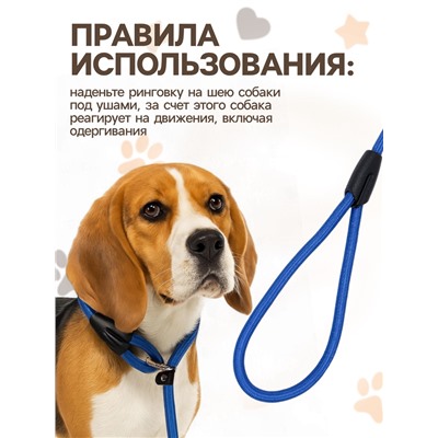 Ринговка для собак, 130×1 см, синяя