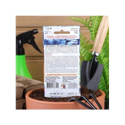 Набор семян Свекла "Фурор" округлая, с тёмно-красной мякотью, 5 шт.