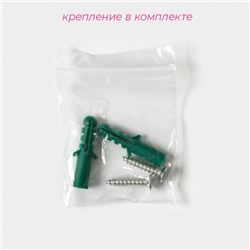 Держатель для швабр Доляна, 2 отделения, с крючком 22×2,5×5 см, цвет белый