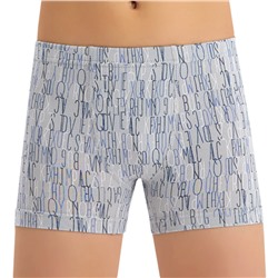 3636 Боксеры многоцвет (BAYKAR)