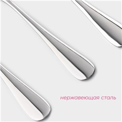 Набор ложек столовых из нержавеющей стали Доляна, длина 21 см, толщина 2.2 мм, 410 сталь, 3 шт.