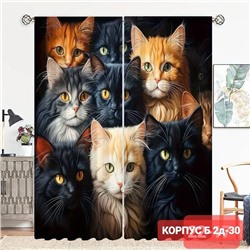 Портьеры с принтом, 3*2,6 см (без тюля)