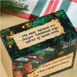 Подарочный набор новогодний«Будьте здоровы»: чай 20 г, варенье из сосновых шишек 30 г, бальзам 100 мл.