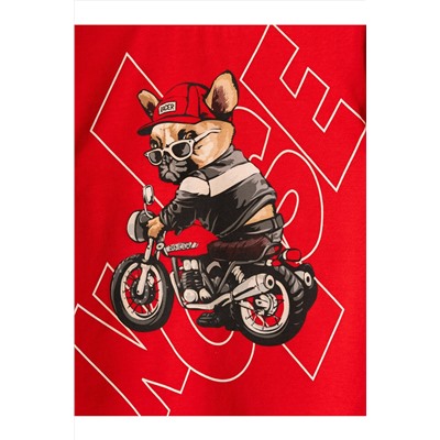 Комплект трикотажный для мальчиков: фуфайка (футболка), шорты PLAYTODAY, 1239875