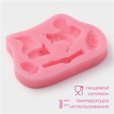 Молд Доляна «Белочка и орешки», силикон, 10×7×1.5 см, розовый