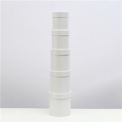 Набор шляпных подарочных коробок 5 в 1 «Белизна»,20×19.5 ‒11×11 см