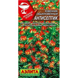 1143A Язвенник Антисептик 0,2 г