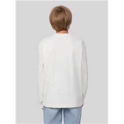 ЛОНГСЛИВ ДЛЯ МАЛЬЧИКОВ 123446