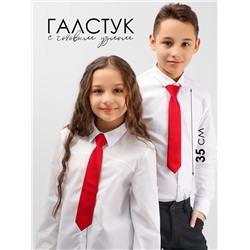 Соль&Перец Галстук SP306A