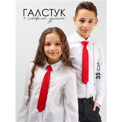 Соль&Перец Галстук SP306A