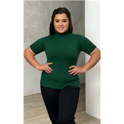 Водолазка-5412