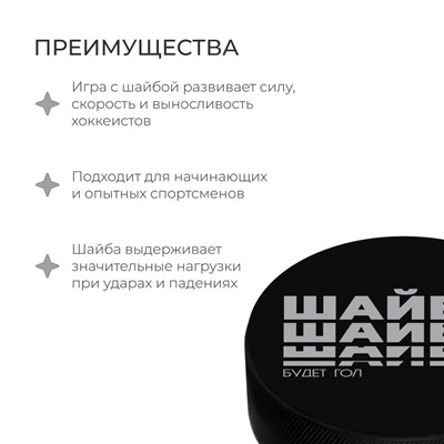 Шайба хоккейная Winter Star, взрослая, d=7.6 см