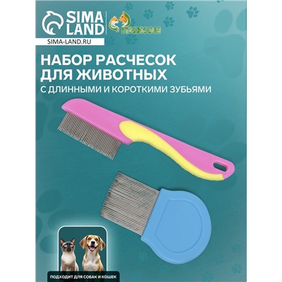 Набор расчесок для животных, с длинными и короткими зубьями, розовая/синяя