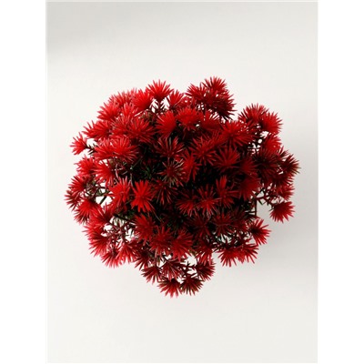 Искусственный цветок в горшке «Пушистые колючки», 9×13 см, МИКС