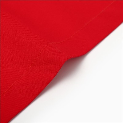 Полотенце новогоднее «Этель» New year collection, цвет красный, 40×73 см, 100% хл, саржа 190 г/м²